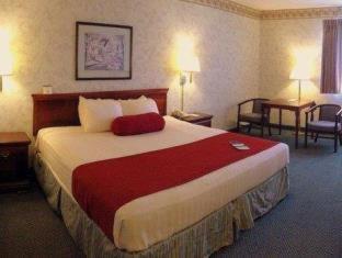 Best Western Executive Inn- Mount Gilead Pulaskiville Номер фото